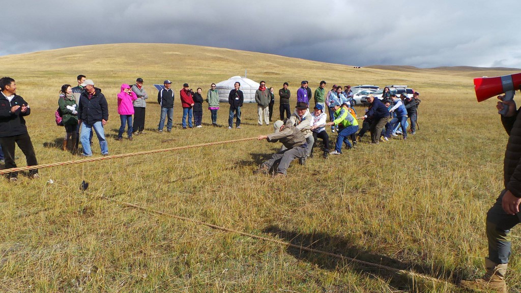 11218558_822183077817437_3142518786451903847_o