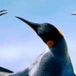 Group logo of Гишүүд